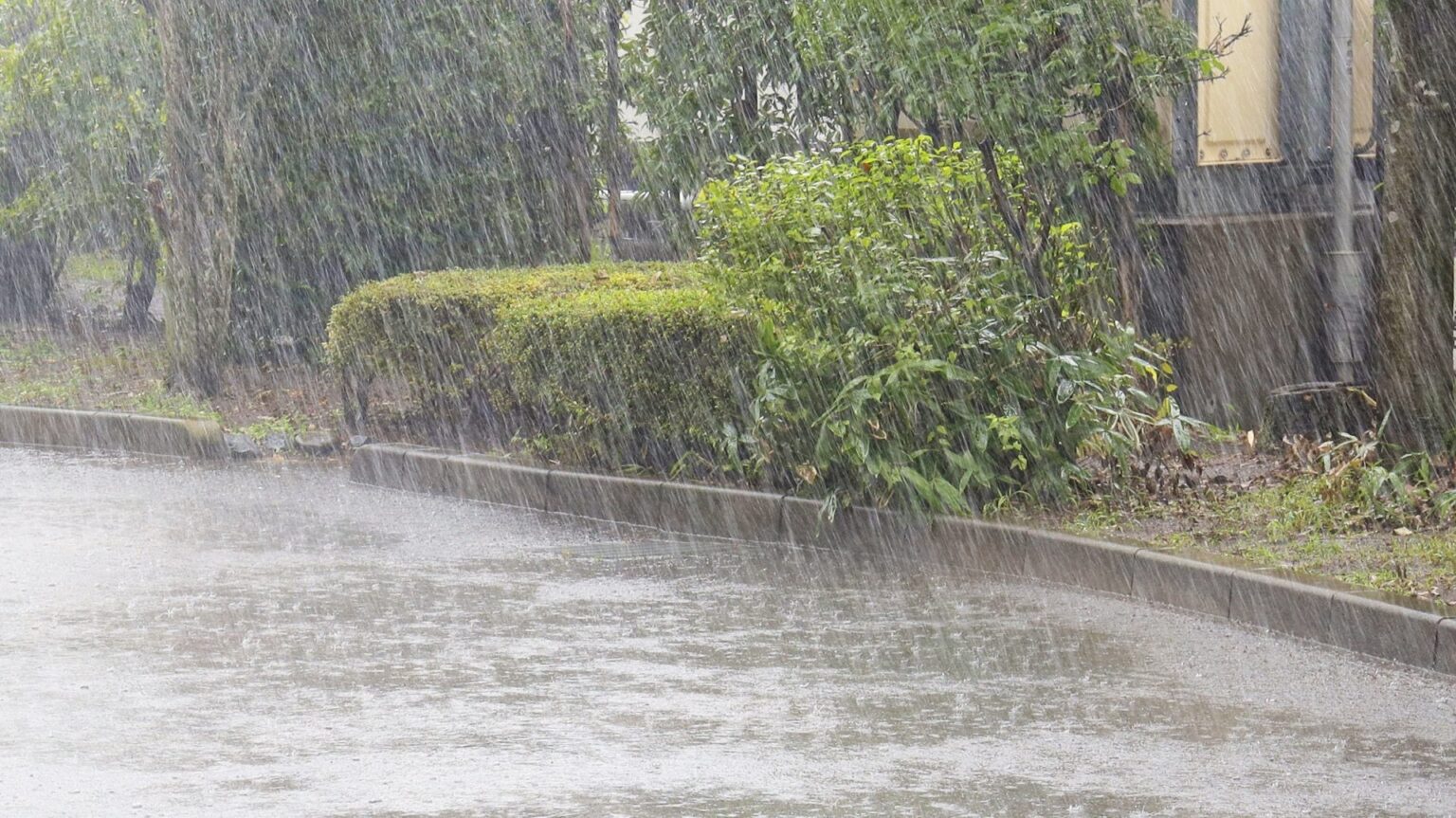 引越し当日に雨が降っていた場合はどうする?雨の時の運搬方法や梱包方法、引越し当日のキャンセルについて詳しく解説します。 | 格安引越し案内所